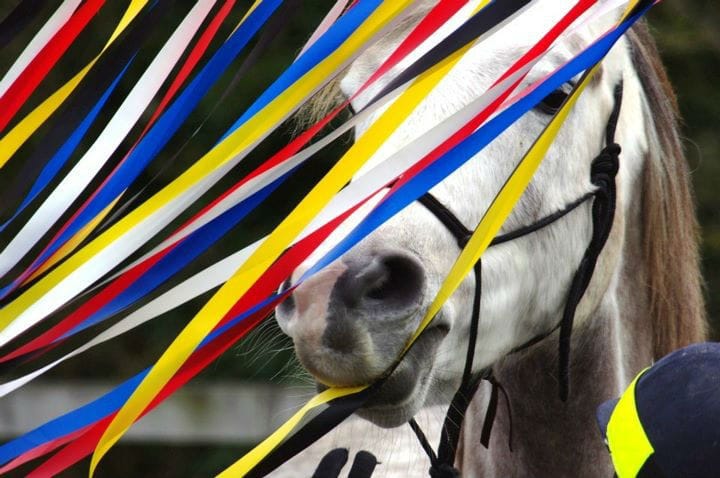 You are currently viewing Horse Agility Training Day and Competition 8th August 2015