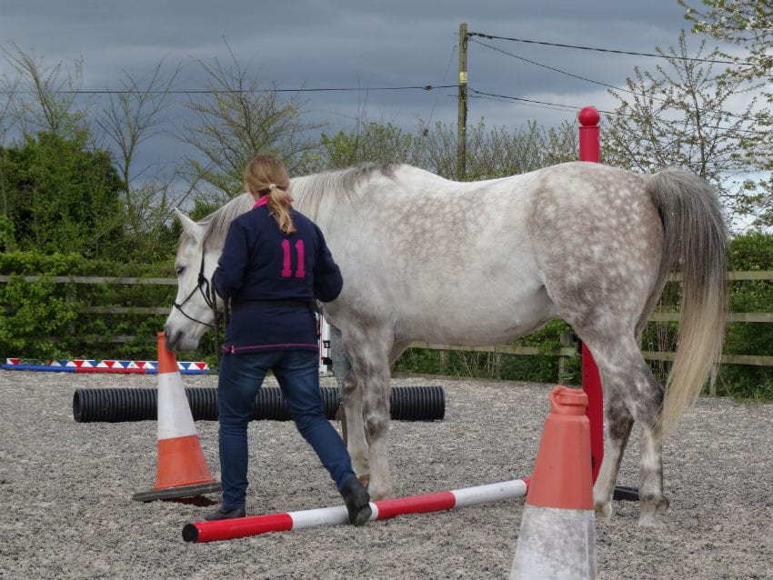 Read more about the article Hannah Weston clicker Training Clinic 2nd and 3rd May